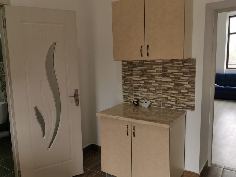 Apartament 1 camera central de inchiriat
