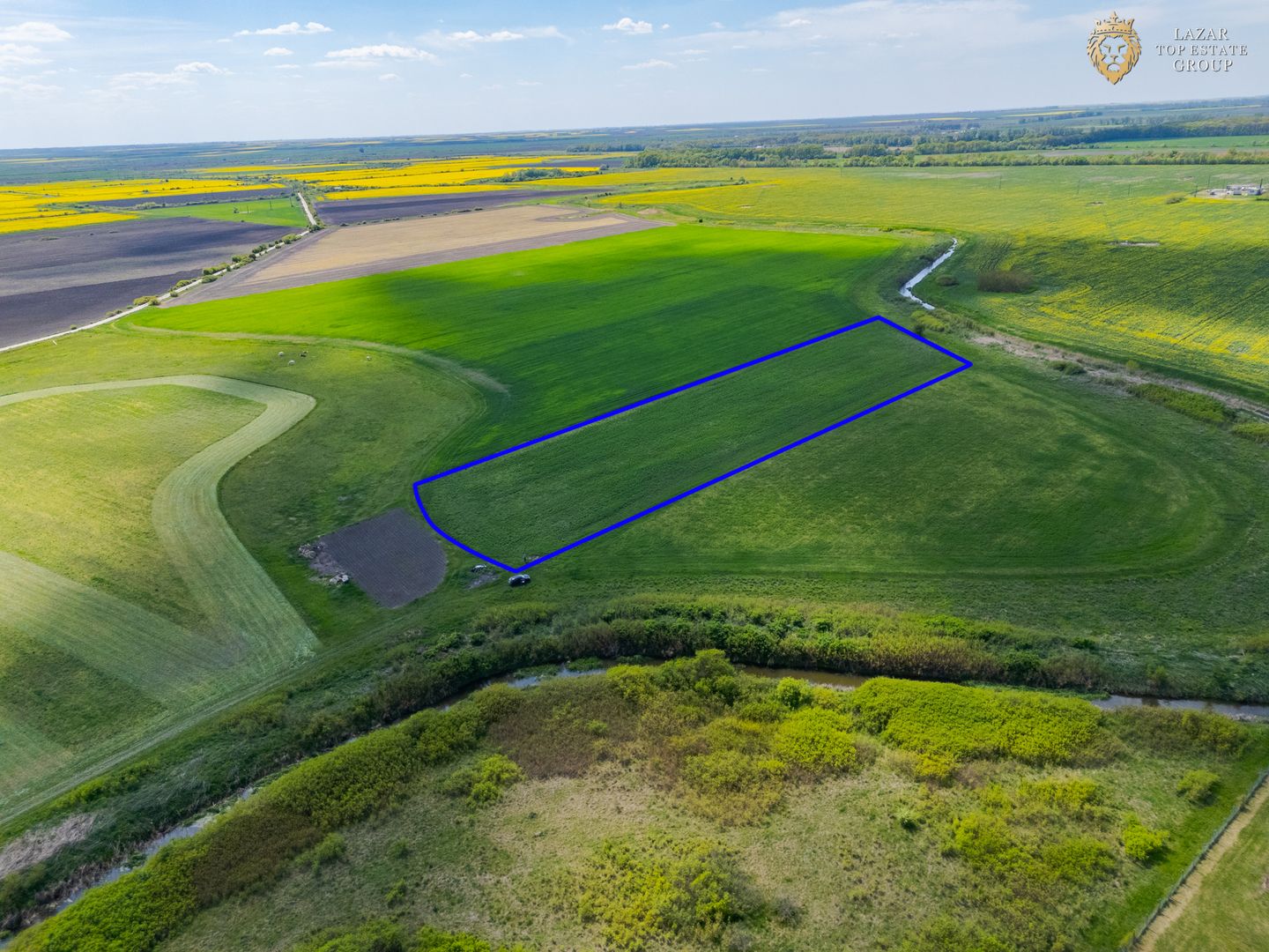 Teren Agricol Extravilan de Vanzare, Turnu Arad