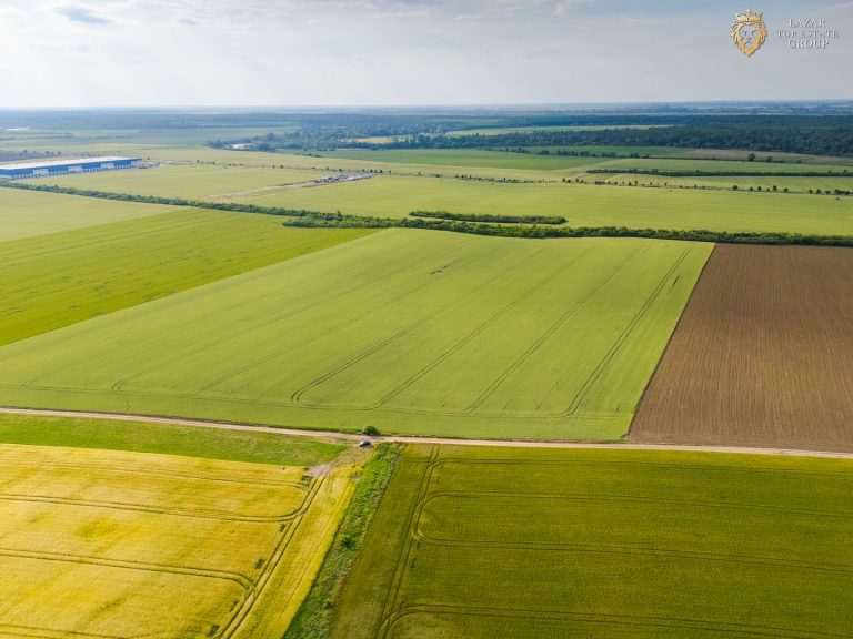 Teren Extravilan Arad de vanzare