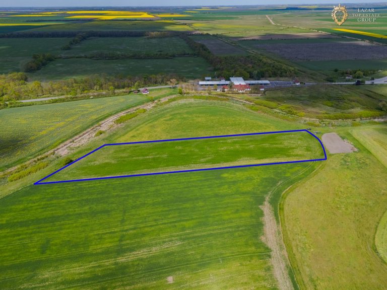 Teren Agricol Extravilan de Vanzare, Turnu Arad