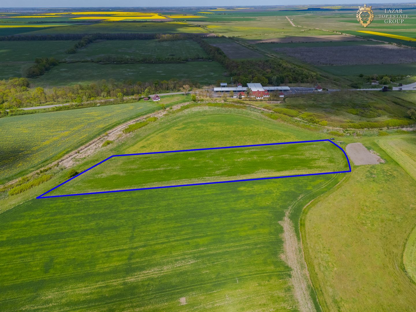Teren Agricol Extravilan de Vanzare, Turnu Arad