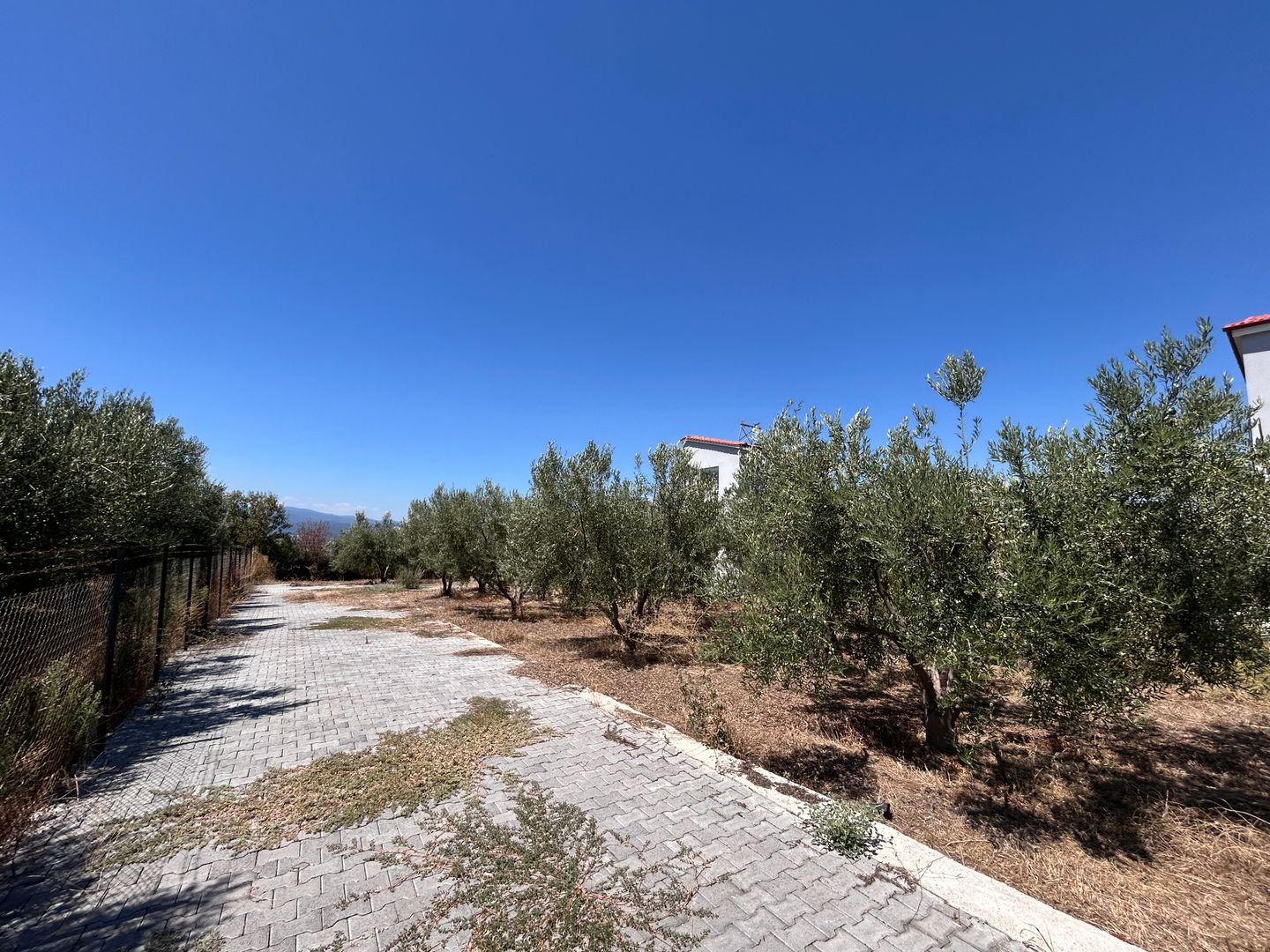 Complex exclusivist cu 3 vile individuale în Paralia Ofriniou Grecia