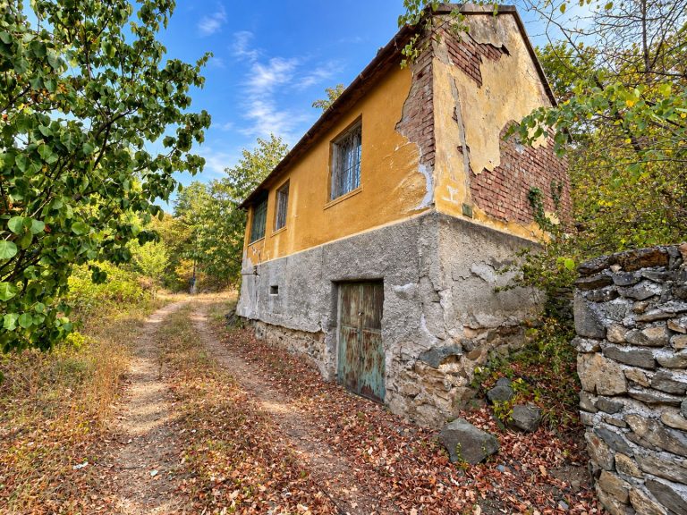 Casa Paulis de vanzare