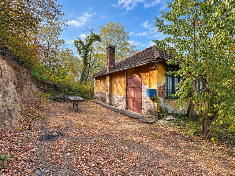 Casa Paulis de vanzare